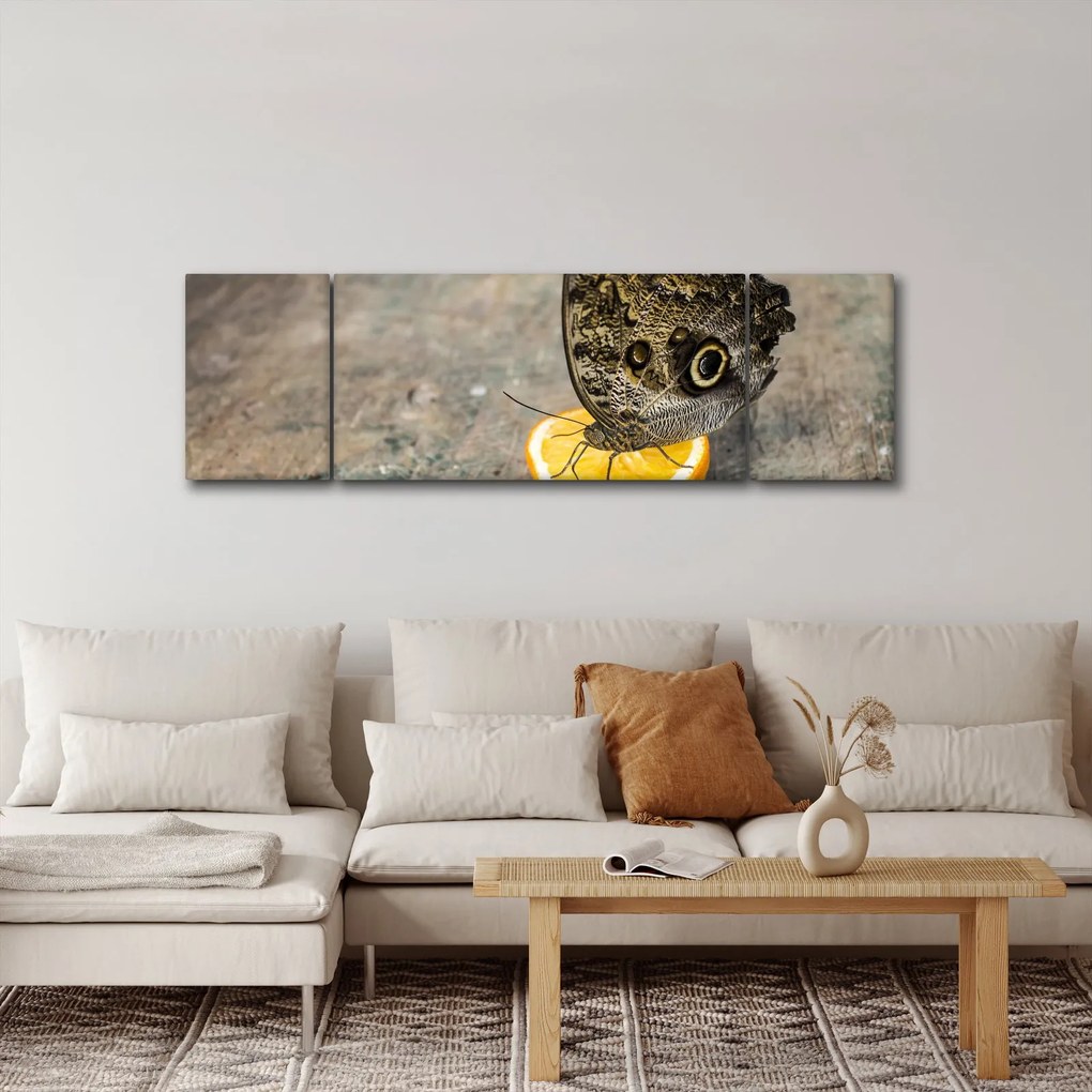 Obraz motyla (170x50 cm)