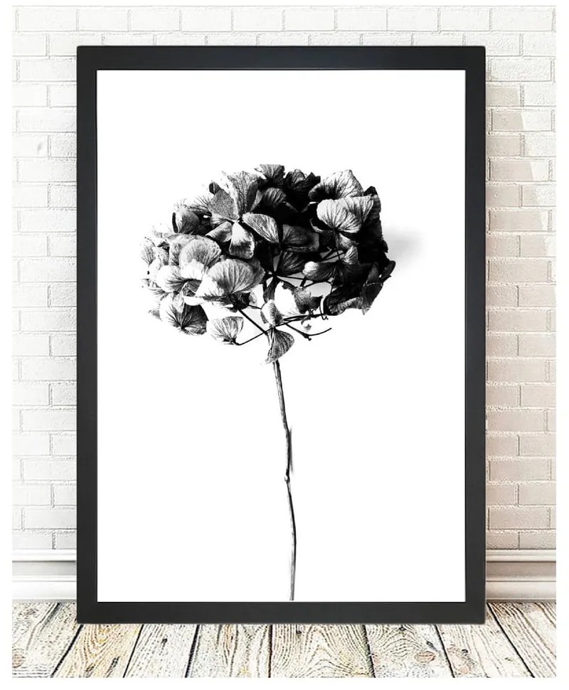 Obraz 24x29 cm Velvet Flower – Vavien Artwork