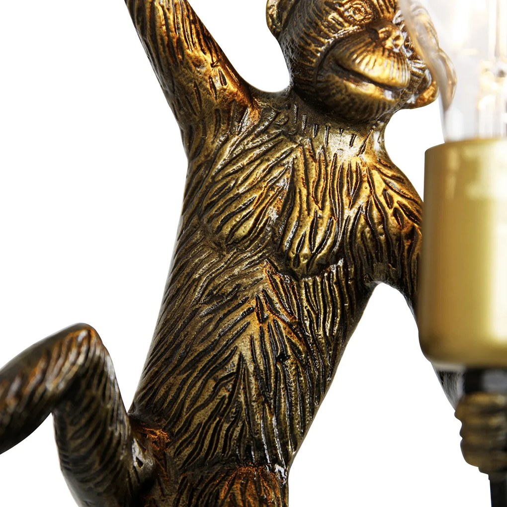 Złota ścienna lampa małpa - Animal Monkey klasyczny/Antyczny Oswietlenie wewnetrzne