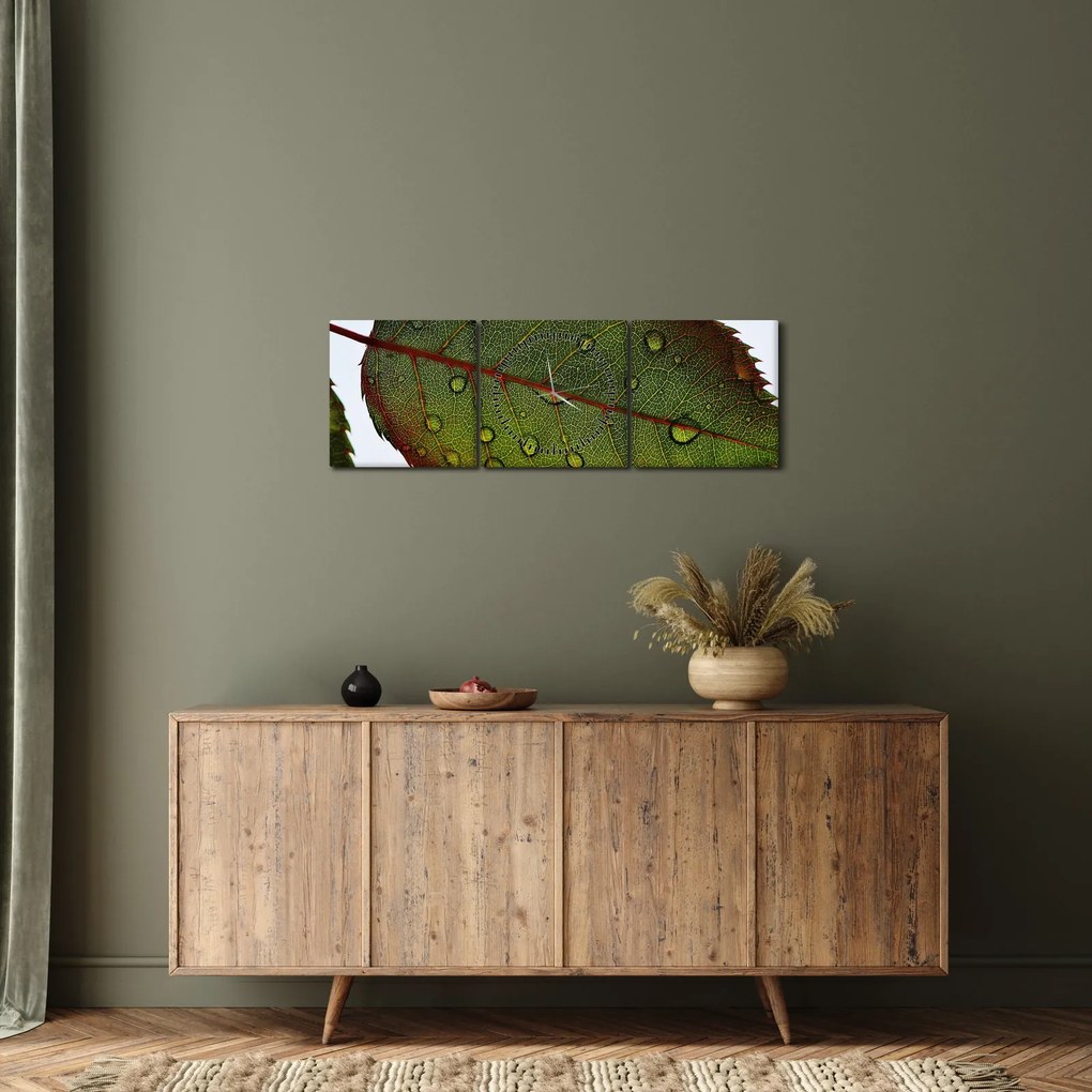 Obraz - Liść róży (z zegarem) (90x30 cm)