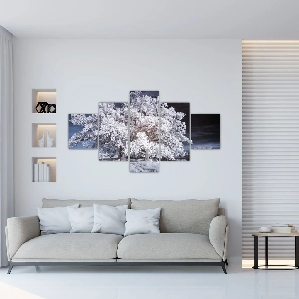 Obraz - Śnieżnobiałe drzewo (125x70 cm)