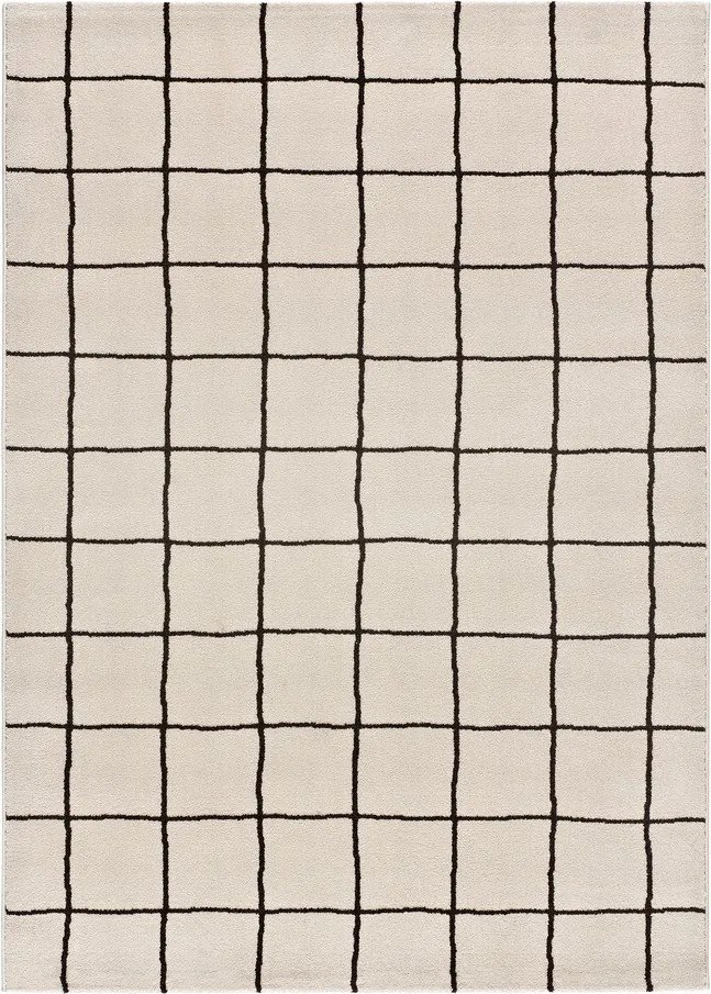 Beżowy dywan 120x170 cm Touza – Universal