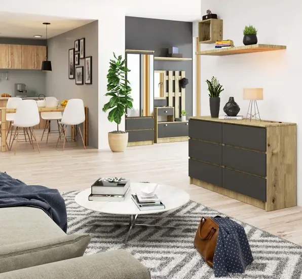 Nowoczesna komoda do przedpokoju dąb artisan + grafit F3-K59