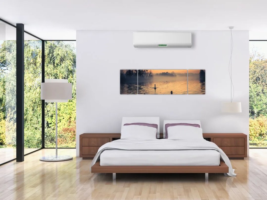 Obraz łabędzi na wodzie we mgle (170x50 cm)