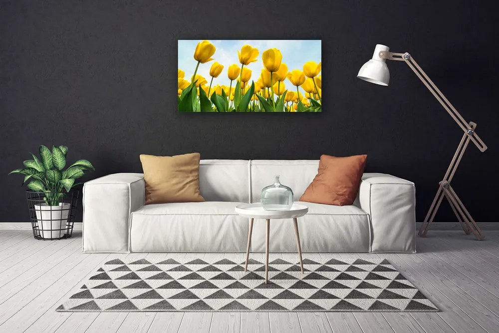 Obraz canvas Pole Tęczowych Tulipanów