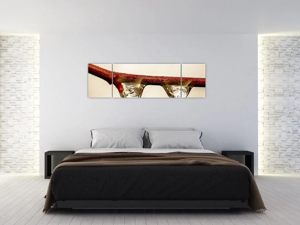 Obraz kropli na gałęzi (170x50 cm)