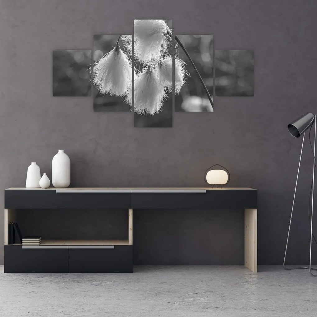 Obraz - Trawa bawełniana (125x70 cm)