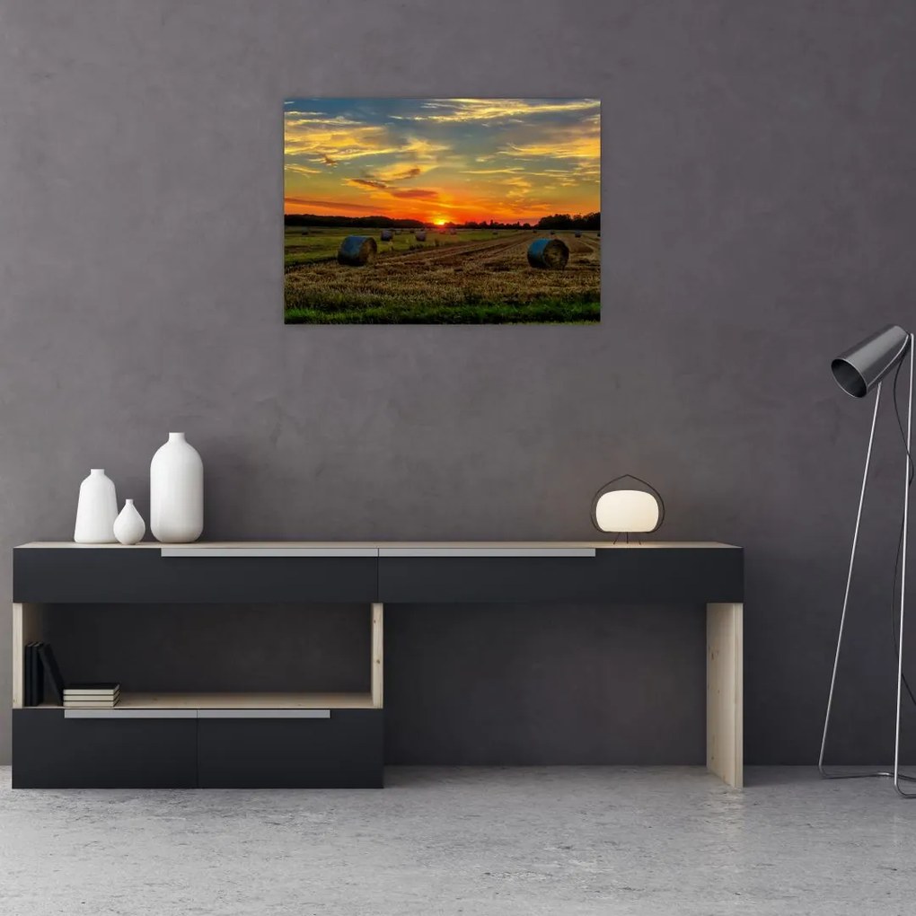 Obraz na szkle - Wiejskie bale (70x50 cm)