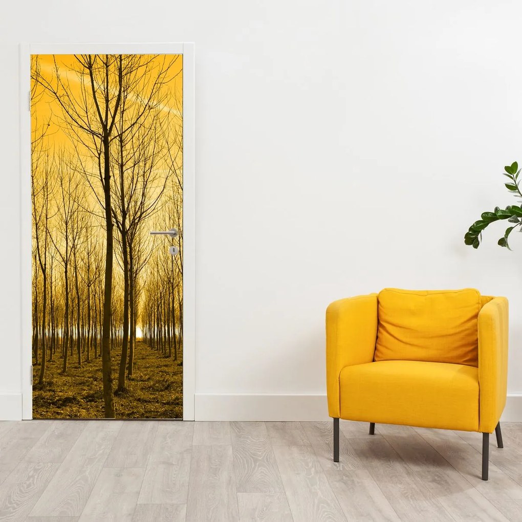 Fototapeta na drzwi - Las o zachodzie słońca (95x205cm)