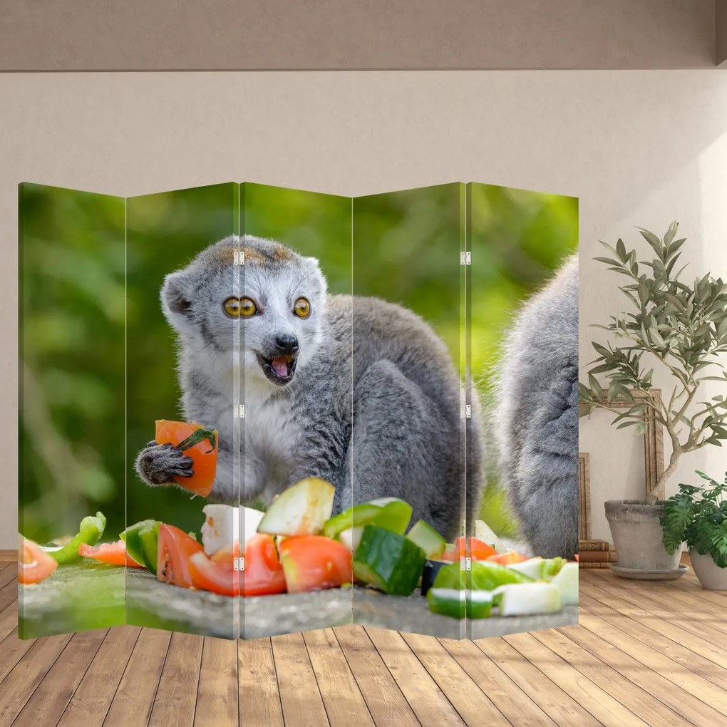 Parawan - Lemur (210x170 cm)
