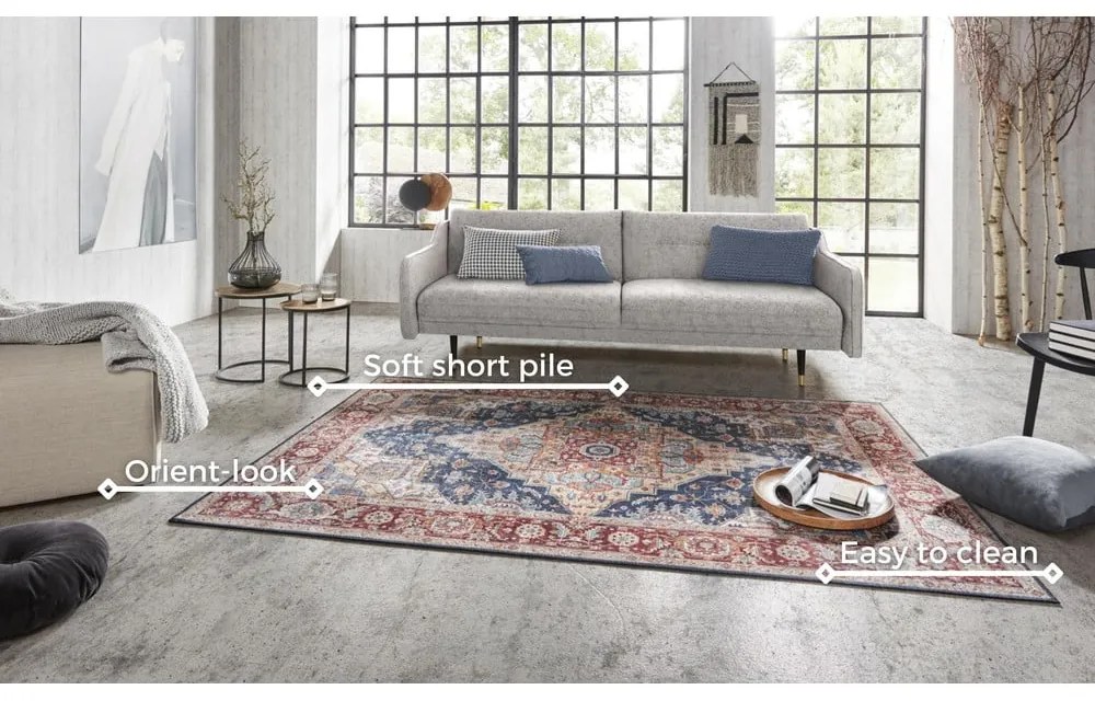 Czerwono-granatowy dywan Nouristan Sylla, 200x290 cm