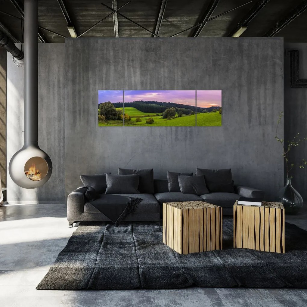 Obraz łąki (170x50 cm)