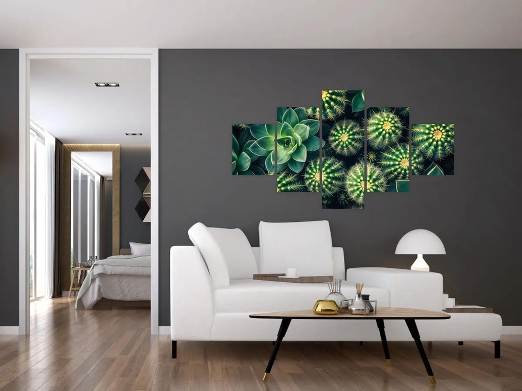 Obraz - Kaktusy (125x70 cm)
