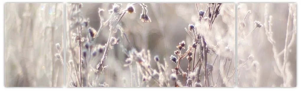 Obraz - Roślina (170x50 cm)