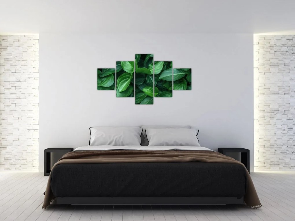 Obraz - Zielone liście (125x70 cm)