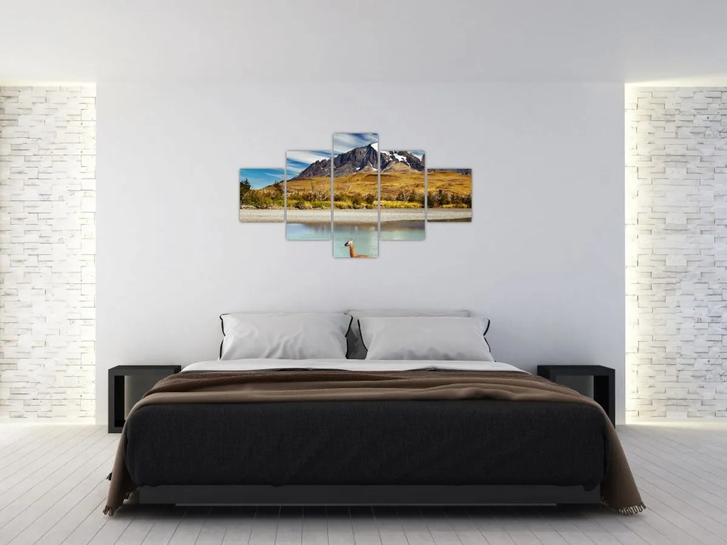 Obraz - Park Narodowy Torres del Paine (125x70 cm)