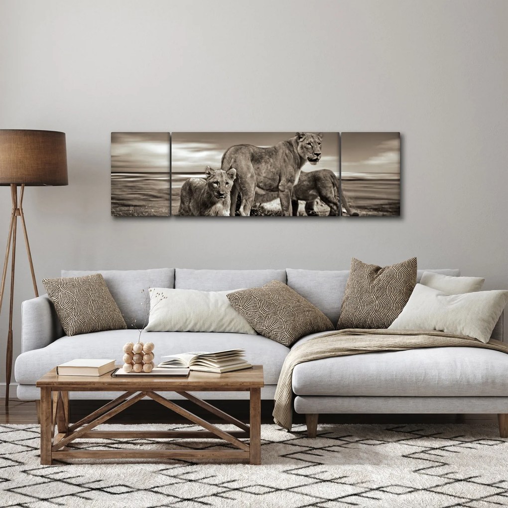 Obraz czarno - białych lwów (170x50 cm)