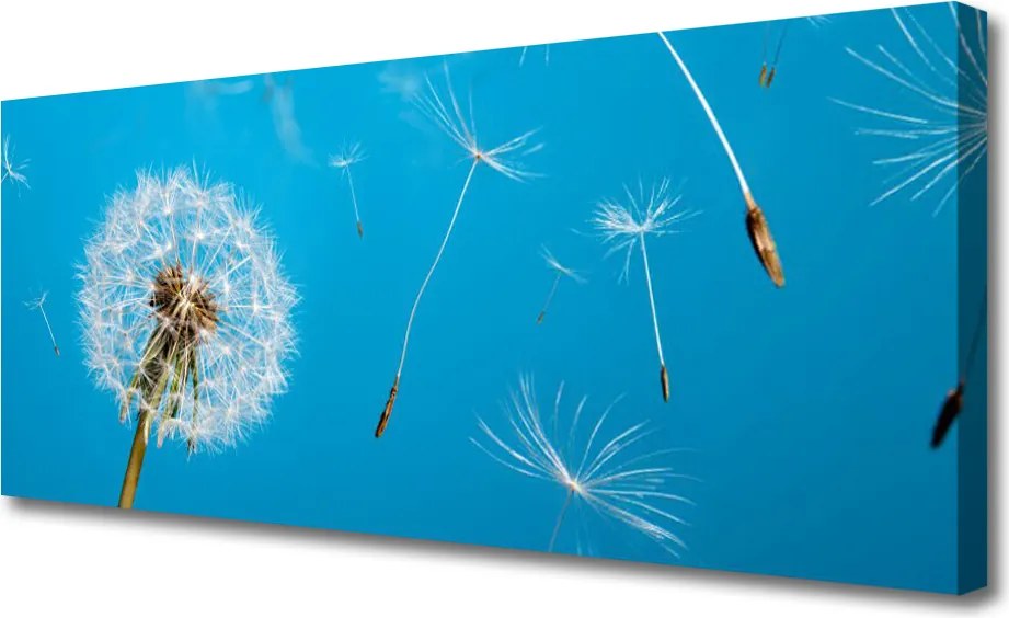 Obraz canvas na ścianę Ulotność Polnych Dmuchawców