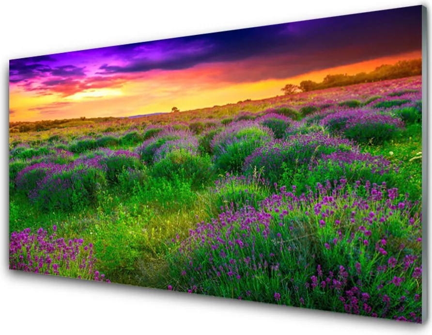 Panel Szklany do Kuchni Bezkres Zielonej Łąki