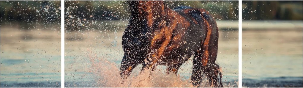 Obraz - Biegnący koń (170x50 cm)