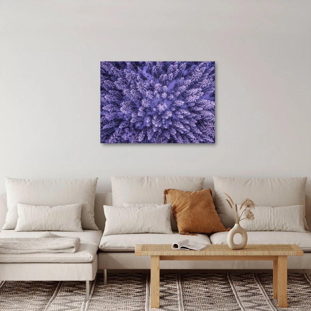 Obraz ośnieżonych drzew (70x50 cm)