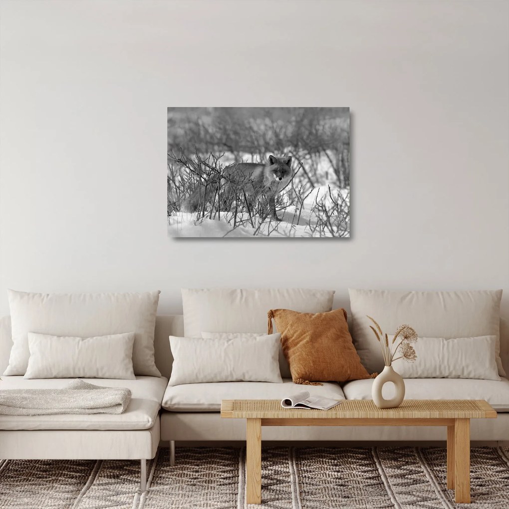 Obraz na szkle - Lis w zimie (70x50 cm)