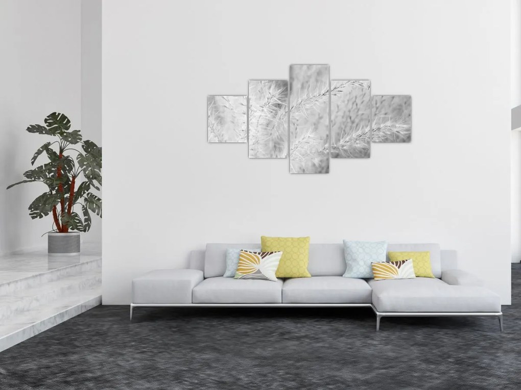Obraz - Trawa pampasowa N⁰1 (125x70 cm)