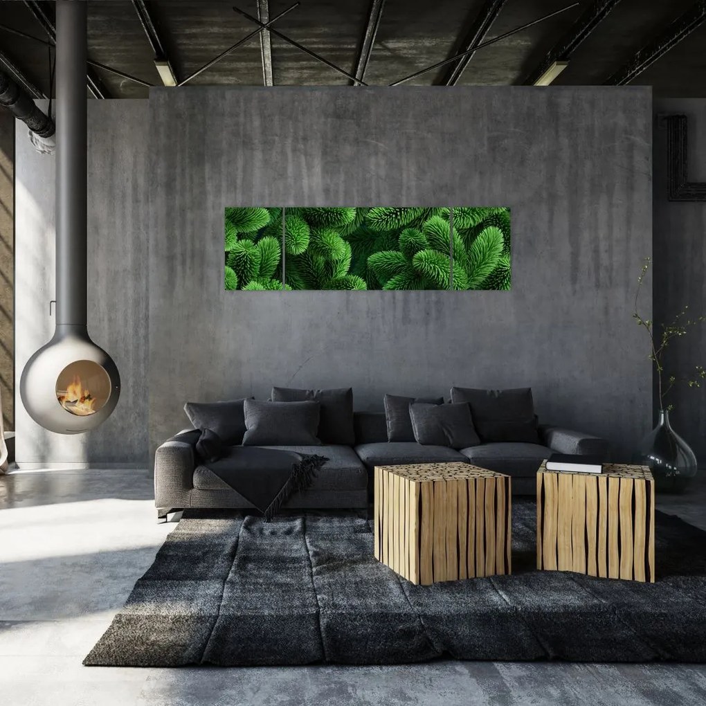 Obraz - Gałązki drzew iglastych (170x50 cm)