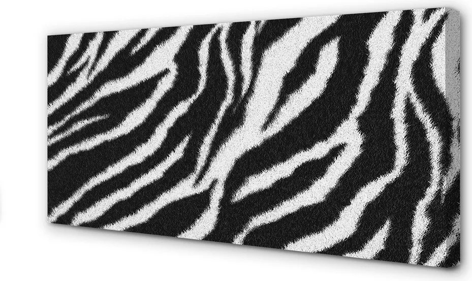 Obraz drukowany na płótnie Wzór Sierści Zebry