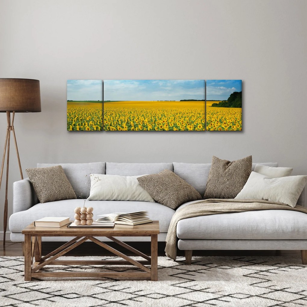 Obraz - ciąg słoneczników (170x50 cm)