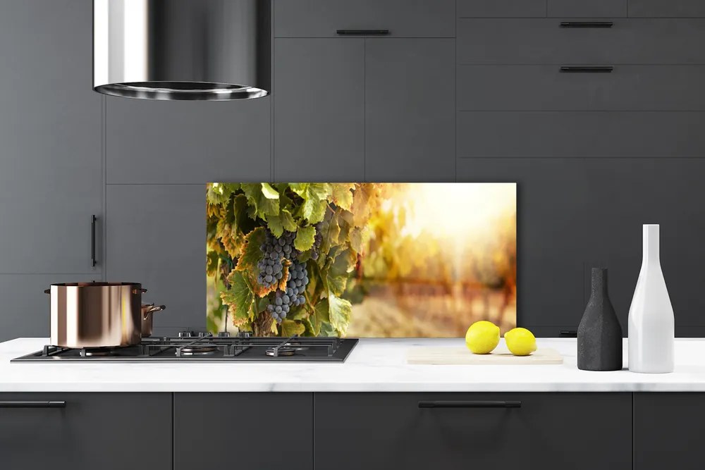 Panel Szklany Winna Winorośl w Detalu