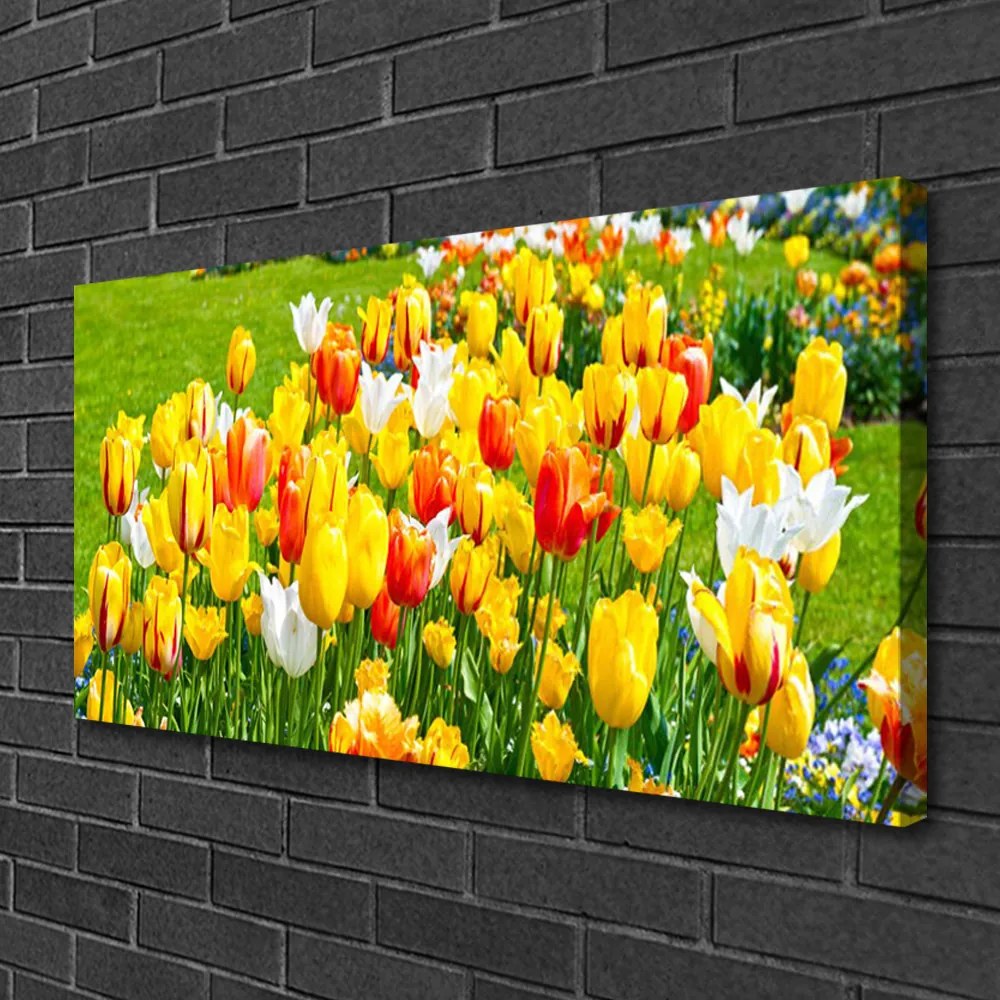 Obraz Canvas Tulipany Kwiaty Natura