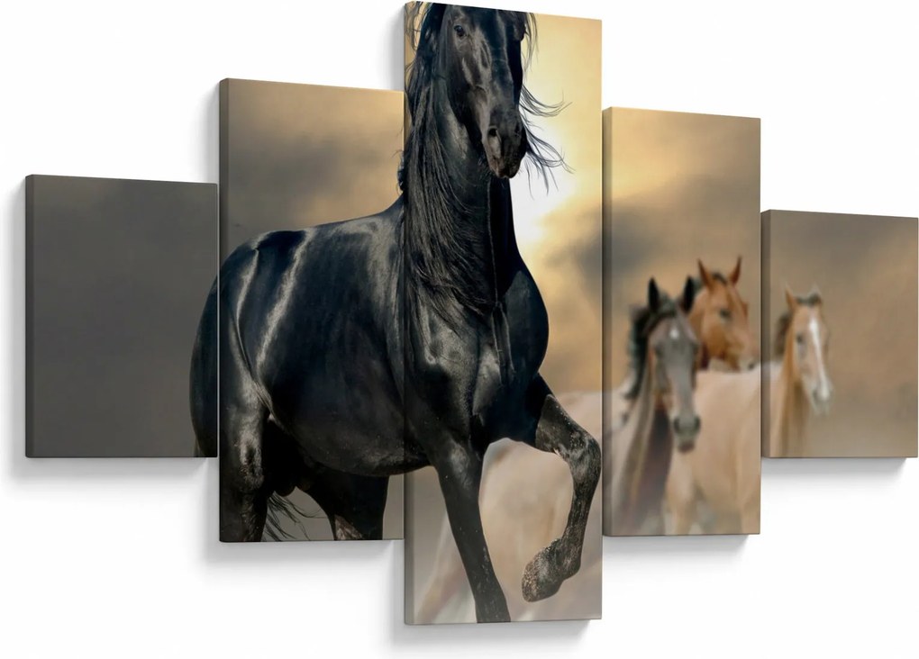 Obraz - Konie (125x70 cm)