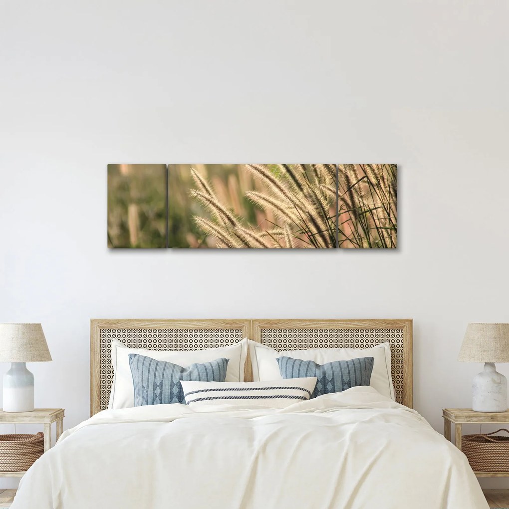 Obraz - Ziarno (170x50 cm)