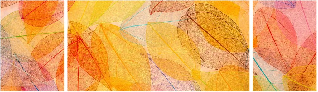 Obraz - Tło z jesiennych liści (170x50 cm)