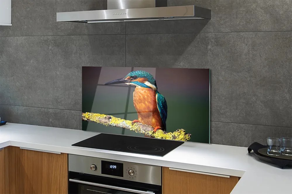 Panel szklany do Kuchni Mały Egzotyczny Ptak