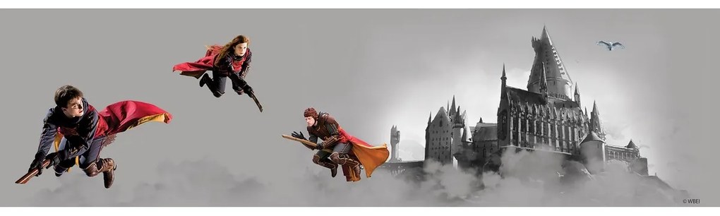 Dekoracyjny pas samoprzylepny Harry Potter Quidditch, 500 x 9,7 cm