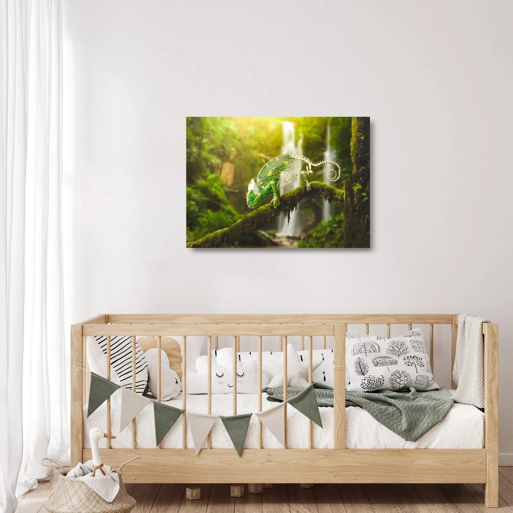 Obraz na szkle - kameleon (70x50 cm)