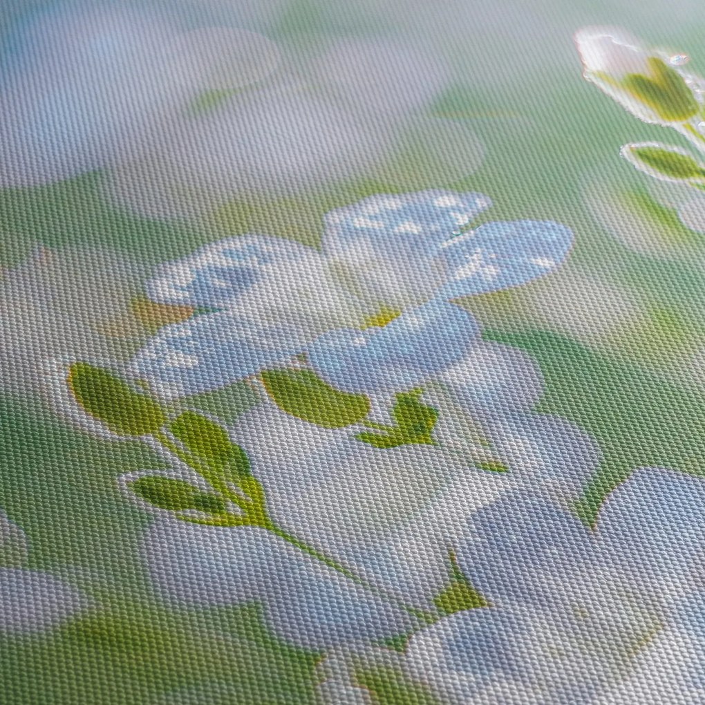 Obraz - Delikatne kwiaty (170x50 cm)