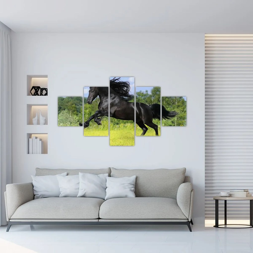 Obraz - Koń z płynącą grzywą (125x70 cm)
