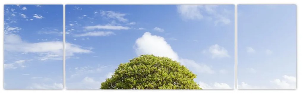 Obraz plaży z drzewem (170x50 cm)