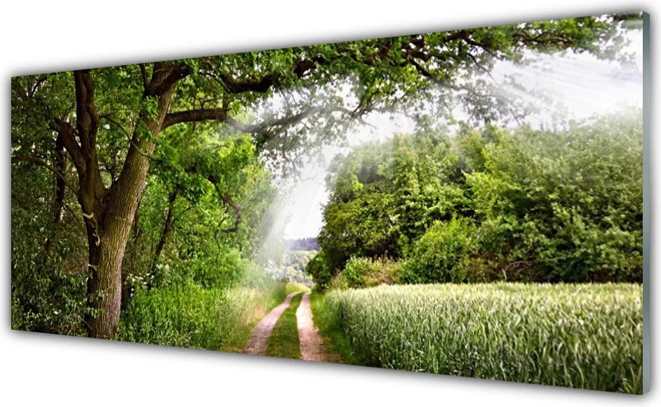 Szkło Ozdobne do Kuchni Ścieżka przez Słoneczny Las