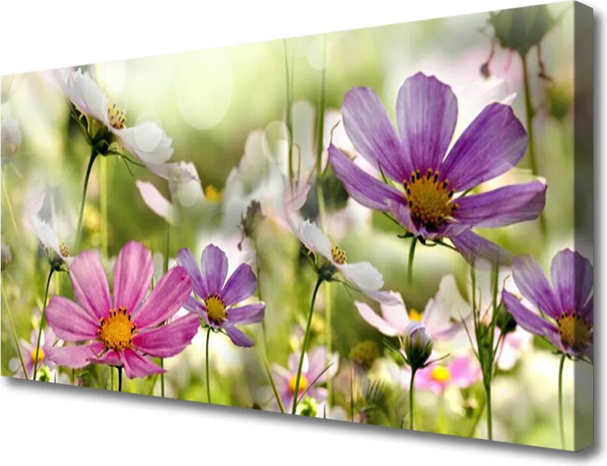 Zdjęcie na płótnie Pastelowa Łąka Kwiatowa