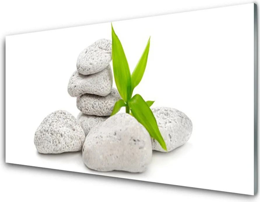 Panel Kuchenny Harmonia Kamieni Rzecznych