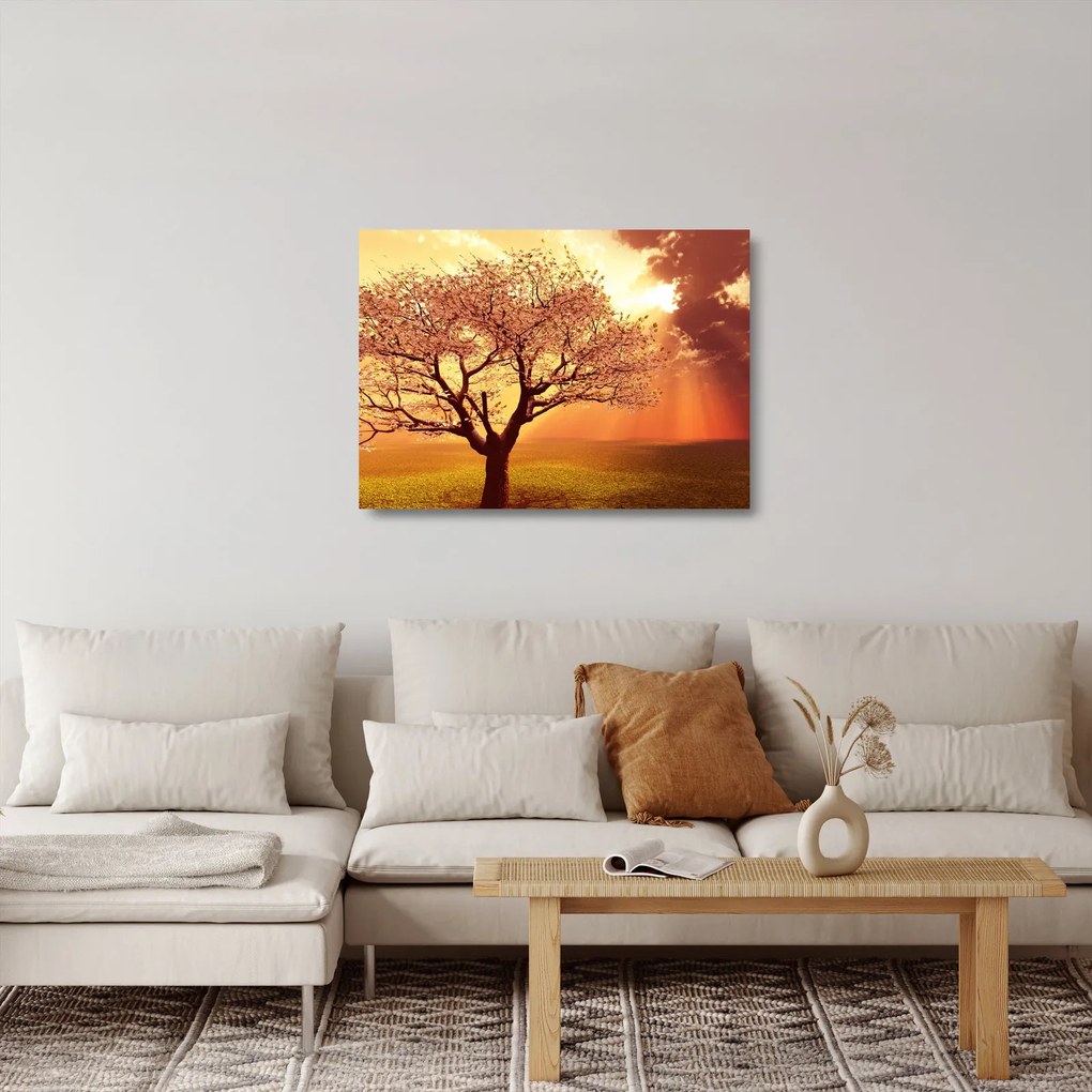 Obraz na szkle promieni Boga (70x50 cm)