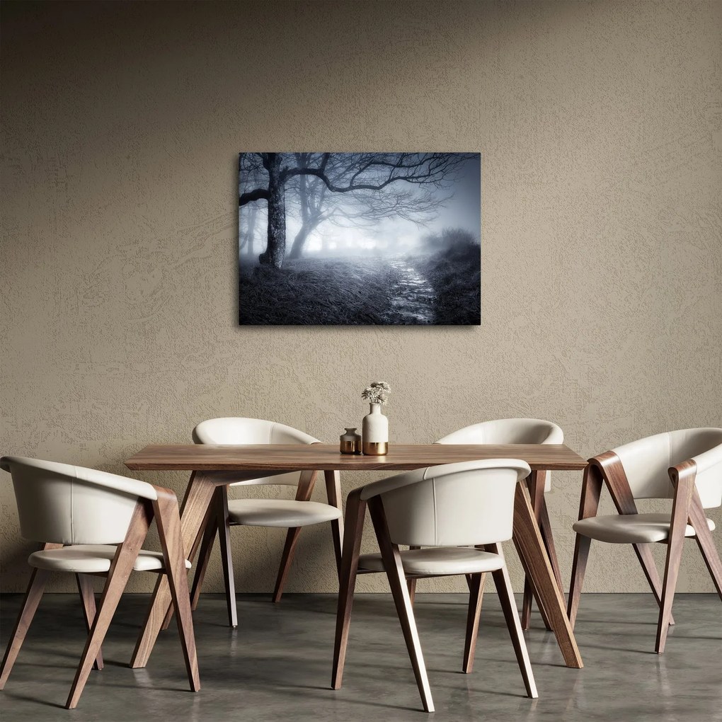 Obraz- Droga we mgle (70x50 cm)