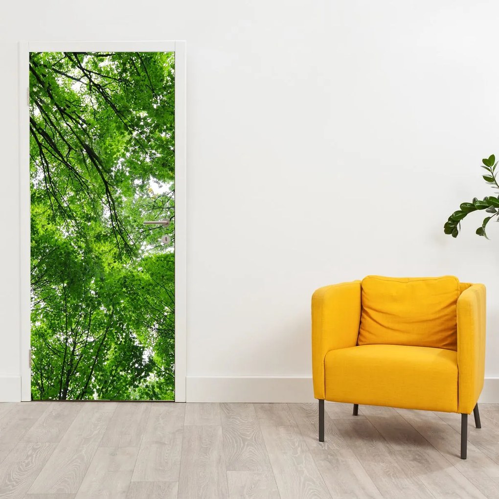 Fototapeta na drzwi - Widok na wierzchołki drzew (95x205cm)