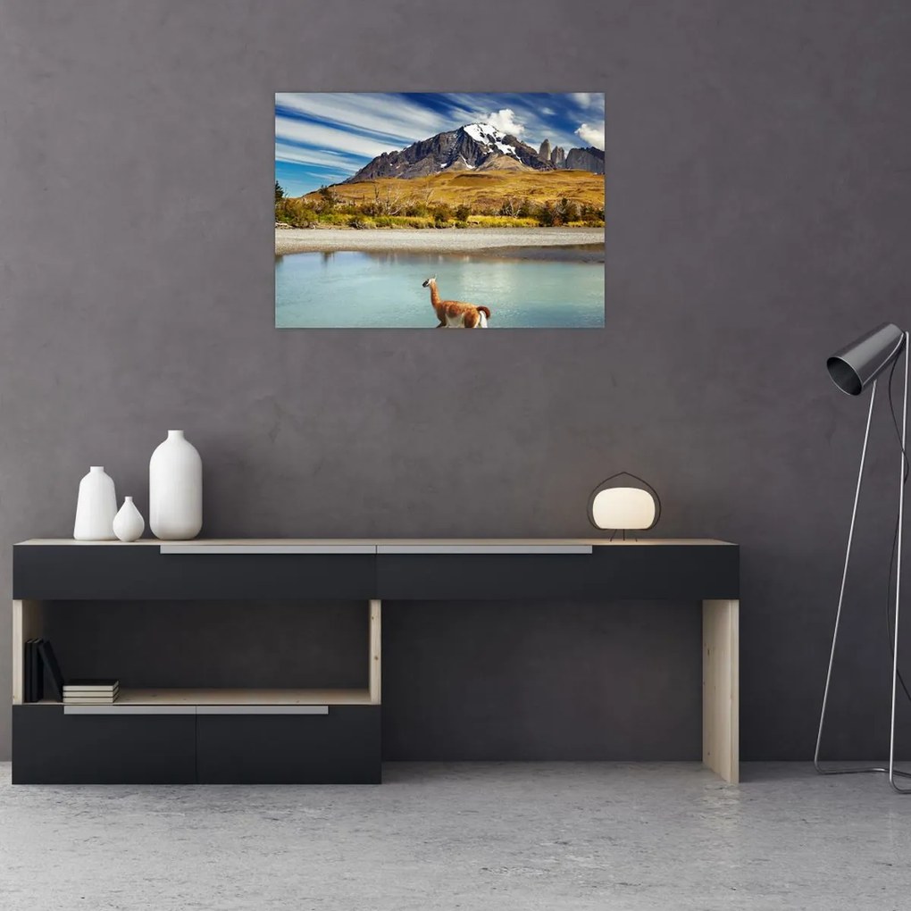 Obraz - Park Narodowy Torres del Paine (70x50 cm)