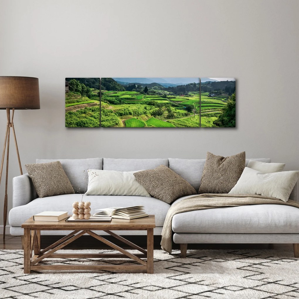 Obraz pól ryżowych (170x50 cm)
