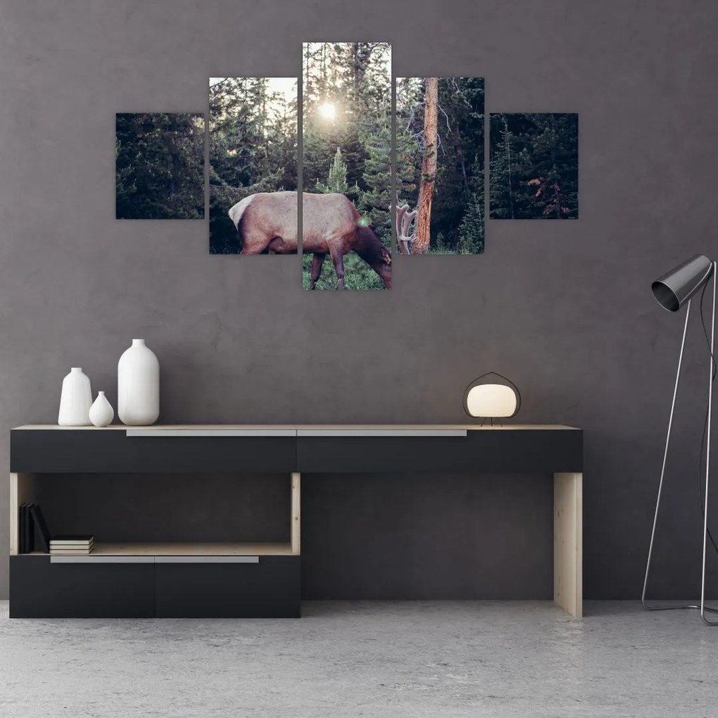Obraz - Łoś na polanie (125x70 cm)